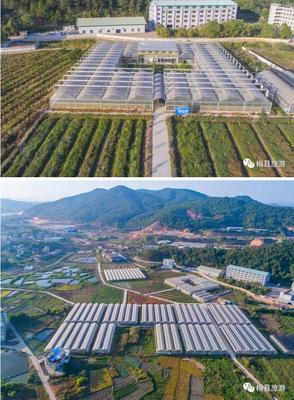 平衡發(fā)展與保護(hù) 旅游景點開發(fā)的可持續(xù)之路