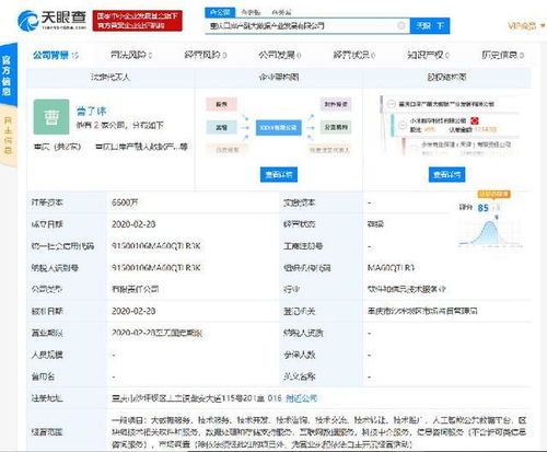 小米落子重慶，成立產(chǎn)融大數(shù)據(jù)公司，布局區(qū)塊鏈與數(shù)據(jù)處理服務(wù)